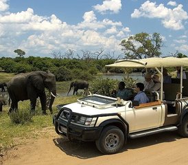 04 jours safari découverte aux chutes Victoria et au parc national de Hwange avec Chobe, Zimbabwe et Botswana - Photo 1