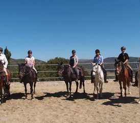 8 Tage Intensivkurs für Reitanfänger in Heraklion, Kreta, Griechenland - Photo 2