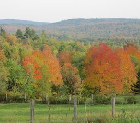 5 Day The Ease of Being Meditation, Yoga, and Breathwork Silent Retreat in Vermont, USA - Photo 3