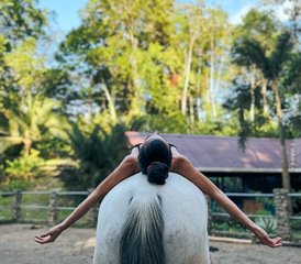 8-Daagse Spirituele Reis met Paarden en Yoga Retreat in Puerto Viejo, Costa Rica - Photo 3
