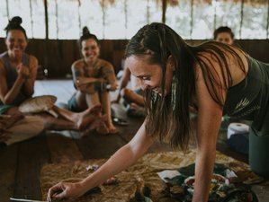 10 Day Leadership Program with Ayahuasca in Maynas Province, Peru