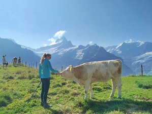 3 jours en retraite de yoga et randonnée à Mürren, Alpes suisses