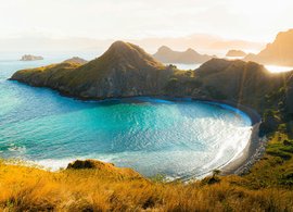 Flores Retreats und Reisen