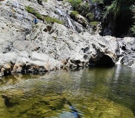 5 Jours en Stage De Yoga L’appel De L’eau Et De La Terre À Palomino, Colombie - Photo 5