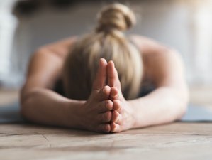 3 Tage Chakra Yoga Seminar in Bayern