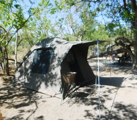 6-Daagse Spannende Safari in Botswana  - Photo 3