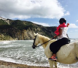 108 jours en stage de cuisine grecque et d’équitation à Zante, îles Ioniennes, Grèce - Photo 1