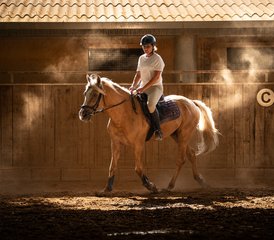 8 Day Andalusian Stallions Dressage Horse Riding Holiday in Mallorca, Balearic Islands, Spain - Photo 2