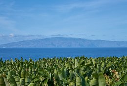 4 días de retiro de yoga, bienestar y perfil de valor en Islas Canarias, España