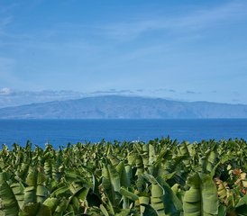 94 Day Yoga, Wellness, and Value Profile Retreat in Canary Islands, Spain - Photo 1