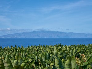 4 Day Yoga, Wellness, and Value Profile Retreat in Canary Islands, Spain