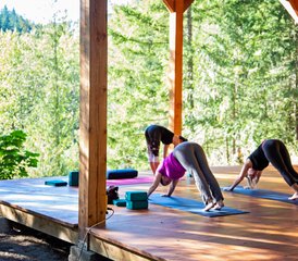 6 Day Vitality Yoga Retreat in Fraser Valley, British Columbia, Canada - Photo 4
