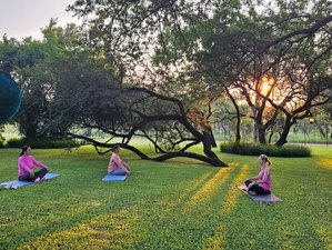 4 Day Find Balance, Breathe, Rejuvenate Wellness Retreat in Waterberg District, South Africa