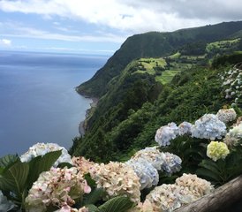 8 Tage Retreat und Naturreise mit Yoga und Exkursionen auf São Miguel, Azoren, Portugal - Photo 2