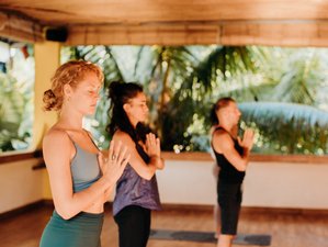 22 Day 200-Hour Meditation and Yoga Teacher Training Course in Ubud, Bali