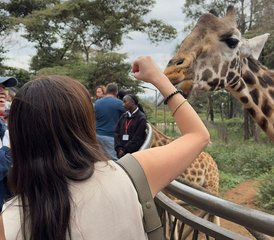 9 Tage Magische Safari in Kenia und Tansania - Photo 4