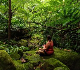 8 jours en stage de "Back to your Roots" yoga thérapeutique et aventure sur une île des Caraïbes - Photo 2