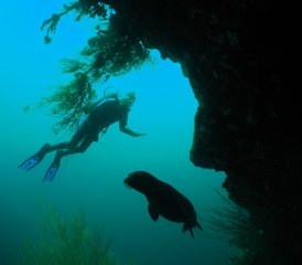 013 días de lujo en las Galápagos con crucero e islas, Ecuador - Photo 1