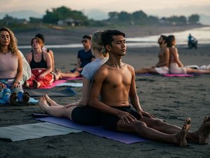 12 jours en formation de professeur de yoga hatha et ashtanga vinyasa flow avec ayurvéda à Goa, Inde