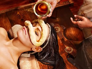 Selbstgesteuerter Online-Ayurveda-Kurs mit 8,5 Stunden über 10 Stunden Live-Sitzungen