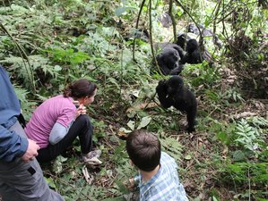 4 Days Gorilla Tracking Safari in Mgahinga Gorilla National Park, Uganda