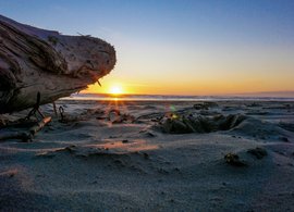 Invercargill Retreats und Reisen