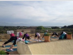 5 Days Yoga Wine Tasting Retreat in Mallorca, Spain