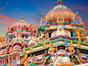 8 Day Spiritual Awakening Pilgrimage Tour and Yoga Retreat in South India
