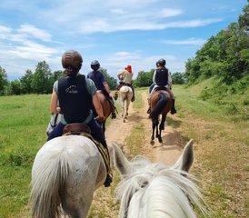8 Tage Magische Galoppritte im Devetaki Plateau Reittour in Bulgarien - Photo 4