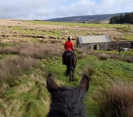 4 Day Wilderness Journey: A Short Break Horse Riding Adventure in Mull of Kintyre, Argyll, UK - Photo 2