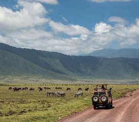 6 días de safari en Tanzania y Kenia en Serengeti, el cráter de Ngorongoro y Amboseli - Photo 4
