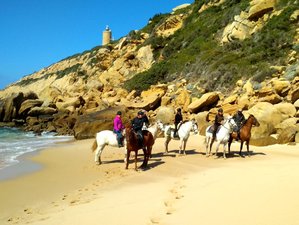 7 Day Relaxed Horse Riding and Yoga Holiday in Tarifa, Spain
