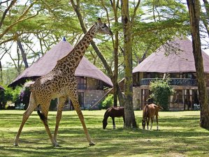 6 Day Magical Safari in Kenya