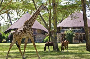 6 Tage Magische Safari in Kenia
