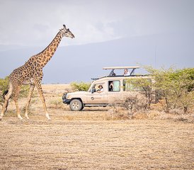 7 Día Safari Privado por lo Mejor de Tanzania: Experiencia de la Migración de Ñus en el Serengeti - Photo 3