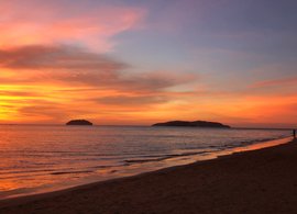 Borneo Retreats & Trips