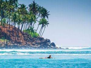 15 Day Yoga and Surf Camp in Mirissa, Sri Lanka