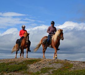 55 Tage Biellugis Trail Reittour in Schweden - Photo 1