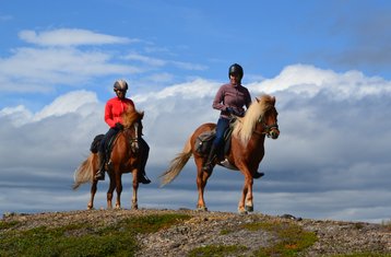 5 Tage Biellugis Trail Reittour in Schweden