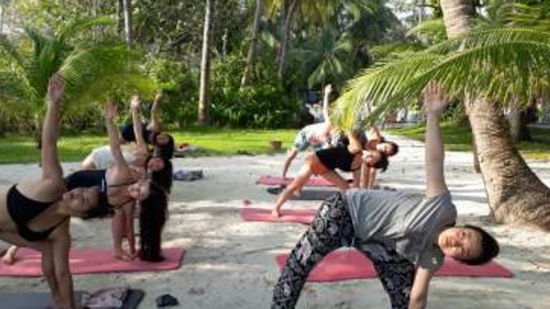Self-Paced 200-Hour Multi Style Hatha, Ashtanga, and Vinyasa Online Yoga Teacher Training