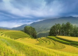 Yen Bai Province Retreats & Trips