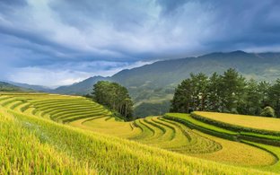 Yen Bai Province Retreats & Trips