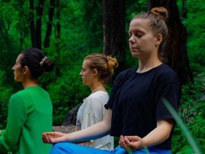 25 Day 200-Hour Sound Healing and Meditation Teacher Training in Rishikesh, India