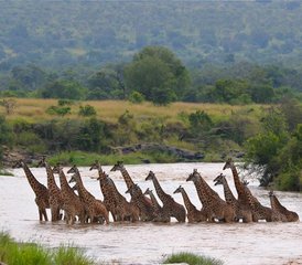 10 jours en safari des explorations du Nord au Kenya - Photo 4