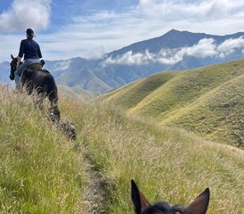 05 Day Horse Riding Adventure, Endless Mountains and Luxury Private Lake in Fairlie, New Zealand - Photo 1
