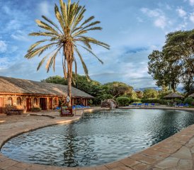 6 días de safari de gama media en Kenia: Masái Mara, lago Nakuru y Amboseli - Photo 5
