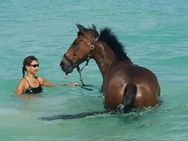 8 Day Ladies' Luxury Horse Riding and Wellness Holiday Escape in Saint Peter, Barbados