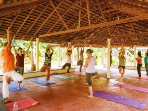 7 Tage Meditation und Yoga Retreat in Varkala, Kerala