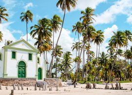 Brazil Retreats & Trips