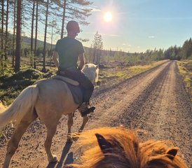7 Tage Lappland im Sommer Reiten in Rovaniemi, Finnland - Photo 4